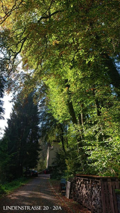 Ferienwohnung Haus Schoeneck Schönecken Exteriör bild